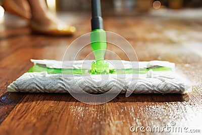 Modern female in sunny day housecleaning Stock Photo