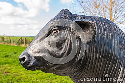 Closeup of the fibreglass statue of a bull with the green field in the background in Bulls town NZ Editorial Stock Photo