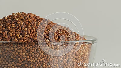 Closeup of finger millet grains Stock Photo