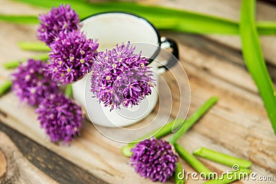 Closeup of flowering chives with shallow depth of field and focus concentrated on flower in the foreground Stock Photo