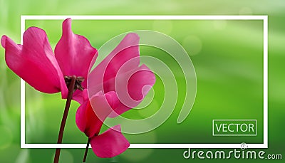Closeup of flowers on bokeh green background with frame. Beautiful template for cards or banners design. Vector Vector Illustration