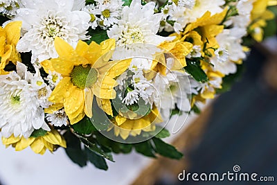 Closeup flowers Stock Photo