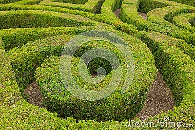 Closeup of formal knot garden Stock Photo