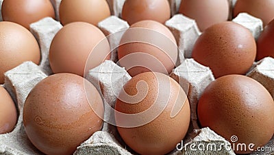 Closeup fresh eggs paper tray Stock Photo