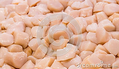 Closeup fresh jumbo scallops Stock Photo