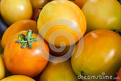 Closeup of fresh and partially ripe Philippine tomatoes for sale at a small market stall Stock Photo