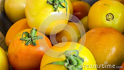 Closeup of fresh and partially ripe Philippine tomatoes for sale at a small market stall Stock Photo