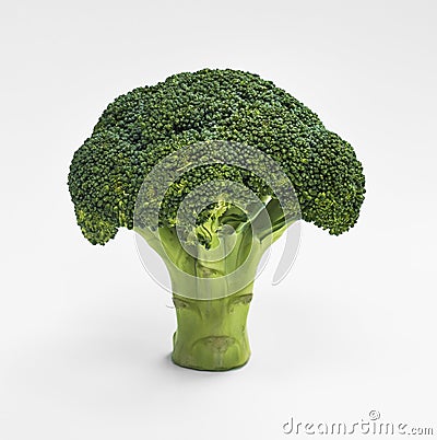 Closeup of fresh real broccoli isolated on white Stock Photo