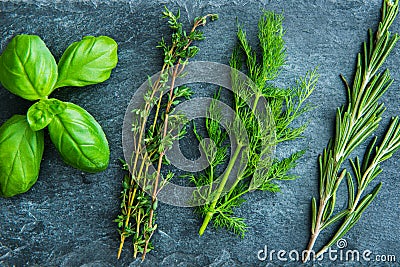 Closeup on fresh spices herbs on stone substrate Stock Photo