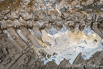 Closeup of a fresh tractor track in the mud Stock Photo