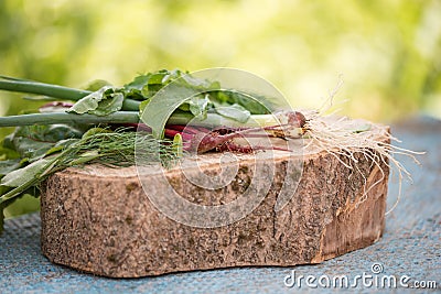 Closeup of freshly harvested vegetables turnips, beetroots, carrots, round marrow. Stock Photo