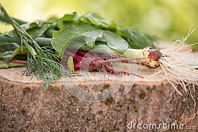 Closeup of freshly harvested vegetables turnips, beetroots, carrots, round marrow. Stock Photo