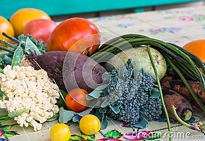 Closeup of freshly harvested vegetables turnips, beetroots, carrots, round marrow, tomatoes, cucumber, zucchini, kidney beans, Stock Photo