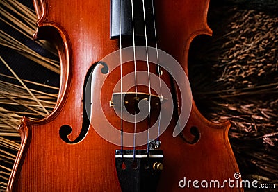 Closeup front side of violin,show design and part of acoustic instrument,vintage and art tone Stock Photo