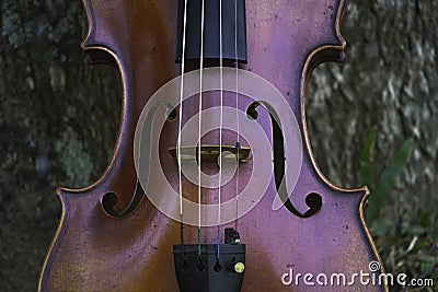 Closeup front side of violin.Show detail of acoustic instrument Stock Photo