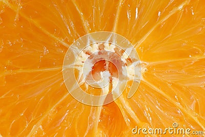 Closeup fruit of orange Stock Photo