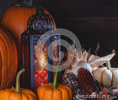 Glowing Lantern With Pumpkins and Corn Stock Photo