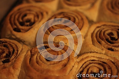 Cinnamon rolls 5481 Stock Photo