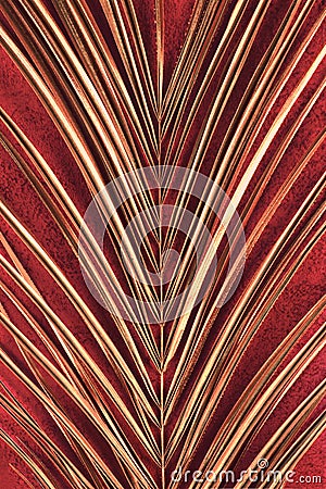 Closeup of golden palm leaf on red background Stock Photo