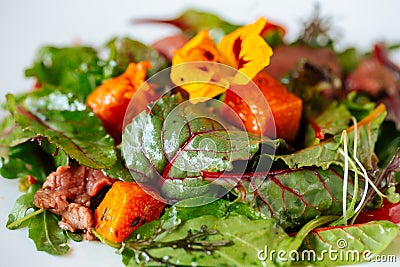 Closeup on gourmet salmon and beef meat salad Stock Photo