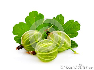 Closeup of green gooseberry with leaf isolated Stock Photo