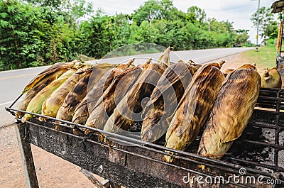 Closeup grilled corn vegetable food background Stock Photo