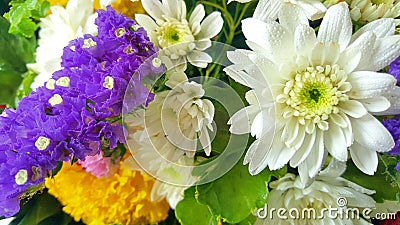 Closeup of group of various flowers Stock Photo