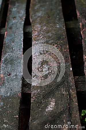Closeup of grunge dark wood background with rusty nails. wooden texture. surface vintage tone Stock Photo