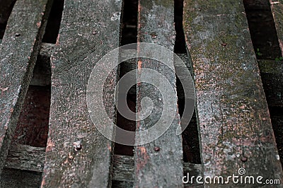 Closeup of grunge dark wood background with rusty nails. wooden texture. surface vintage tone. old hammered boards Stock Photo