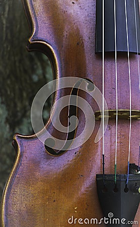 Closeup half front side of violin.Show detail of acoustic instrument,F-Hole and strings Stock Photo