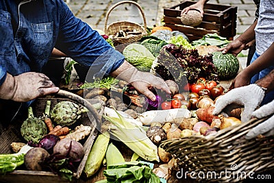 Closeup of hand buying fresh organic vegetable at market Stock Photo