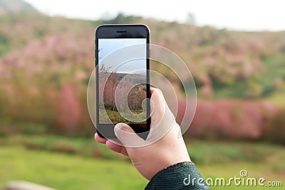 Closeup hand hold phone taking landscape photo Stock Photo