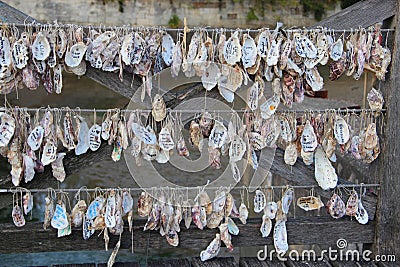 Closeup of hanging seashells with texts Editorial Stock Photo