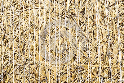 Closeup of hay Stock Photo