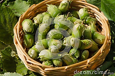 Closeup hazel nut wicker wooden dish leaf backdrop Stock Photo