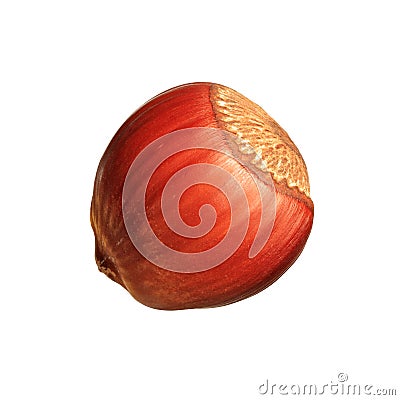 Closeup of hazelnut isolated on white background Stock Photo