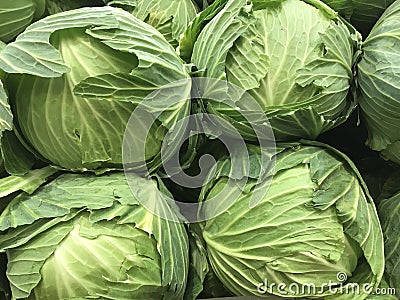 Closeup of healthy green cabbages Stock Photo
