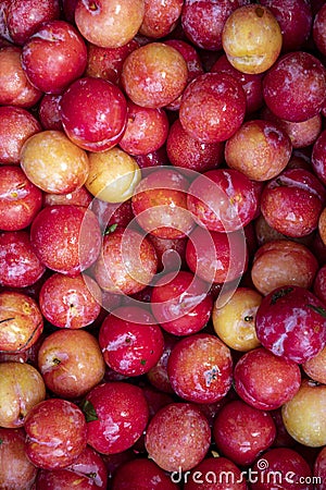Closeup of heap of European plum at the wholesale market stall Stock Photo