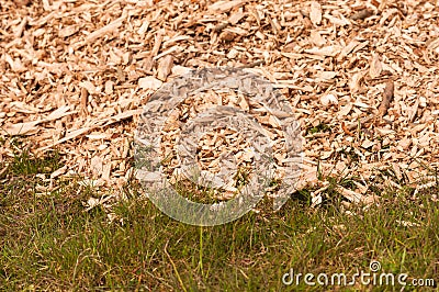 Closeup of a heap of woodchips dumped in the grass Stock Photo