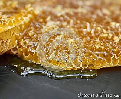 Closeup honeycomb, natural product and gold food for health, wellness and sweet nutrition at bee farm. Beeswax, honey Stock Photo