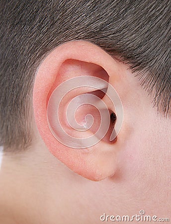 Closeup of human ear Stock Photo