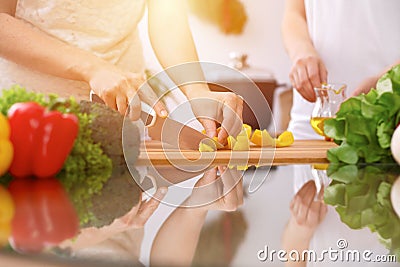 Closeup of human hands cooking in kitchen. Mother and daughter or two female friends cutting vegetables for fresh salad Stock Photo