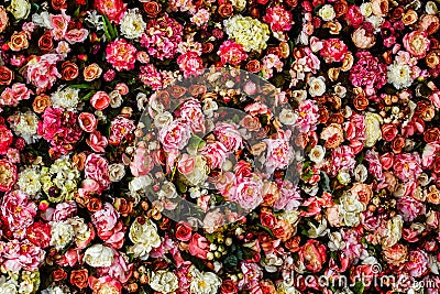 Closeup image of beautiful flowers wall background Stock Photo