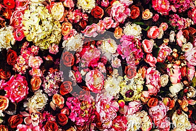 Closeup image of beautiful flowers wall background Stock Photo