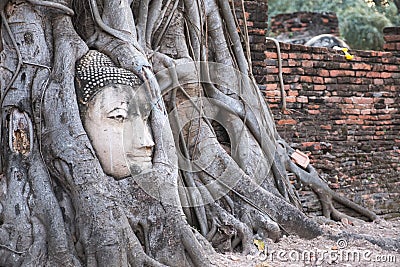 Closeup image of the buddha image inside the Bodhi tree roots in Ayutthaya Stock Photo