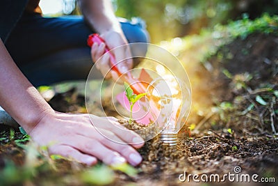 A woman using shovel to plant a small tree with a lightbulb glowing on the ground Stock Photo