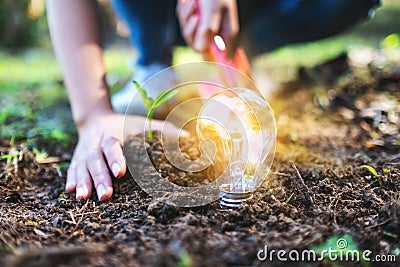 A woman using shovel to plant a small tree with a lightbulb glowing on the ground Stock Photo