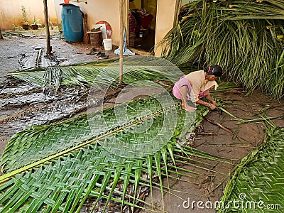 Indian women weaving coconut leaves for Chapra or for mat and making house walls Editorial Stock Photo