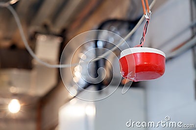 Closeup installation and repair of electric cable, smoke detector, fire alarm system before installing stretch or suspended Stock Photo