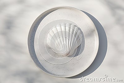 Closeup of jacobean scallop shell on ceramic plate in sunlight, long shadows. White table background. Summer dinner Stock Photo